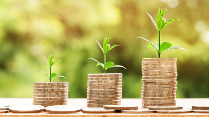 investire piccole cifre idee per investire piccole cifre