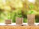idee per investire piccole cifre